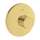 Axor Starck Thermostatic Trim Highflow In Brushed Gold Optic, 10715251
