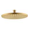 Axor Starck Showerhead 240 1-Jet, 1.75 Gpm In Brushed Gold Optic, 26071251