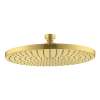 Axor Starck Showerhead 240 1-Jet, 2.5 Gpm In Brushed Gold Optic, 28494251