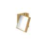 Axor Universal Rectangular Shaving Mirror In Brushed Gold Optic, 42649250