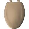 Plastic Elongated Slow-Close Toilet Seat in Sand