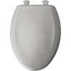 Plastic Elongated Slow-Close Toilet Seat in Silver