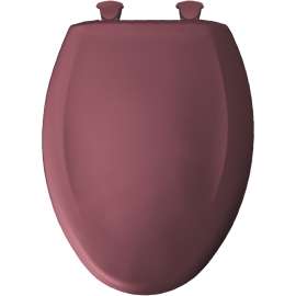 Plastic Elongated Slow-Close Toilet Seat in Raspberry