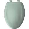 Plastic Elongated Slow-Close Toilet Seat in Seafoam