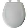 Plastic Round Slow-Close Toilet Seat in Ice Grey
