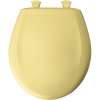 Plastic Round Slow-Close Toilet Seat in Yellow