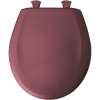 Plastic Round Slow-Close Toilet Seat in Raspberry
