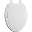 134ECA Mayfair by Bemis Ivy(TM) Elongated Enameled Wood Ivy Design Toilet Seat in White with Stay·Tite(R) Seat Fastening System(TM) and Easy·Clean(R)