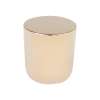 Mini Rose Gold Large Round Knob