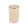 Mini Rose Gold Small Round Knob