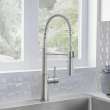 Catris Semi-Pro Pull-Down Dual-Spray Kitchen Faucet - PVD Steel, 401918