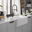 Rivana Semi-Pro Pull-Down Dual-Spray Kitchen Faucet - Matte Black, 443019