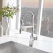 Rivana Semi-Pro Pull-Down Dual-Spray Kitchen Faucet - PVD Steel, 442676