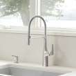 Rivana Semi-Pro Pull-Down Dual-Spray Kitchen Faucet - PVD Steel, 442676