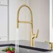 Rivana Semi-Pro Pull-Down Dual-Spray Kitchen Faucet - Satin Gold, 442984