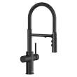 Catris 442992-443275 19.12-in H Pull Down Sprayer Kitchen Faucet with 360 Degree Spout Swivel and Filter in Matte Black