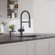 Catris Flexo Filter-Ready Semi-Pro Pull-Down Dual-Spray Kitchen Faucet - Matte Black, 442992