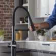 Catris Flexo Filter-Ready Semi-Pro Pull-Down Dual-Spray Kitchen Faucet - Matte Black, 442992