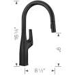 Rivana High-Arc Pull-Down Dual-Spray Kitchen Faucet - Matte Black, 443020