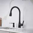 Atura Pull-Down Dual-Spray Bar Faucet - Matte Black, 443028