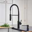 Catris Semi-Pro Pull-Down Dual-Spray Kitchen Faucet - Matte Black, 443032