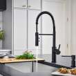 Catris Semi-Pro Pull-Down Dual-Spray Kitchen Faucet - Matte Black, 443032
