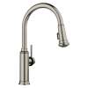 Empressa High Arc Pull-Down Dual-Spray Kitchen Faucet - Satin Platinum, 443245