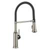Empressa Semi-Pro Pull-Down Dual-Spray Kitchen Faucet - Satin Platinum, 443246