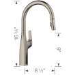 Rivana High Arc Pull-Down Dual-Spray Kitchen Faucet - Satin Platinum, 443249