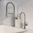 Culina II Semi-Pro Pull-Down Dual-Spray Kitchen Faucet - Satin Platinum, 443252