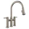 Empressa Pull-Down Dual-Spray Bridge Faucet - Satin Platinum, 443273