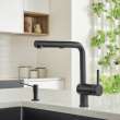 Linus Low Arc Pull-Out Dual-Spray Kitchen Faucet - Coal Black, 526374