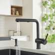 Linus Low Arc Pull-Out Dual-Spray Kitchen Faucet - Coal Black, 526374