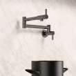 Culina II Wall-Mounted Pot Filler - Satin Dark Steel, 527487