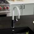 Blanco 526398 Urbena Pull-Down Kitchen Faucet in Coal Black/Chrome