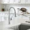 Empressa 1.5 GPM Kitchen Faucet With Pull-Down Spray