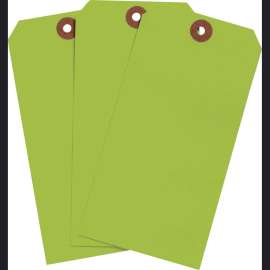 Blank Write-On Tags, 6.25" H x 3.125" W, Cardstock, Fluorescent Green 1000/PK