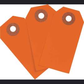 Blank Write-On Tags, 3.25" H x 1.625" W, Cardstock, Fluorescent Red 1000/PK