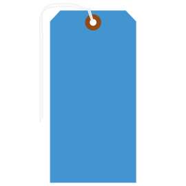 Blank Write-On Tags, 4.25" H x 2.125" W, Cardstock, Blue 1000/PK