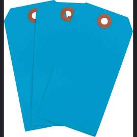 Blank Write-On Tags, 4.75" H x 2.375" W, Cardstock, Light Blue 1000/PK