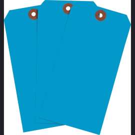 Blank Write-On Tags, 5.25" H x 2.625" W, Cardstock, Blue 1000/PK