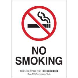 No Smoking Sign, 10" H x 7" W x 0.055" D, Polypropylene