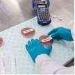 Chemical Resistant Cryogenic Polypropylene Labels for 1