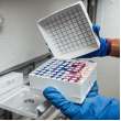 FreezerBondz Ultra-Thin Cryogenic Polyester Lbl w/ Vial Top 0.6 x 1.625 x 0.375in Dia 3000/RL