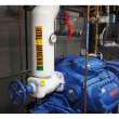 TSS LIQ AMMONIA HIGH Pipe Marker, 1.125