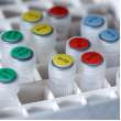 Color Lab Vial and Tube Labels 0.5