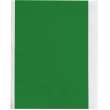All-Weather Vinyl Labels 2 in W x 50 ft L Green