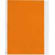 All-Weather Vinyl Labels 2 in W x 50 ft L Orange