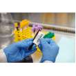 Paper Labels with Rubber Adhesive 1 in H x 2 in W White 3000/RL