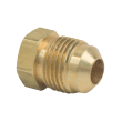 BrassCraft Flare Plug, 3/8